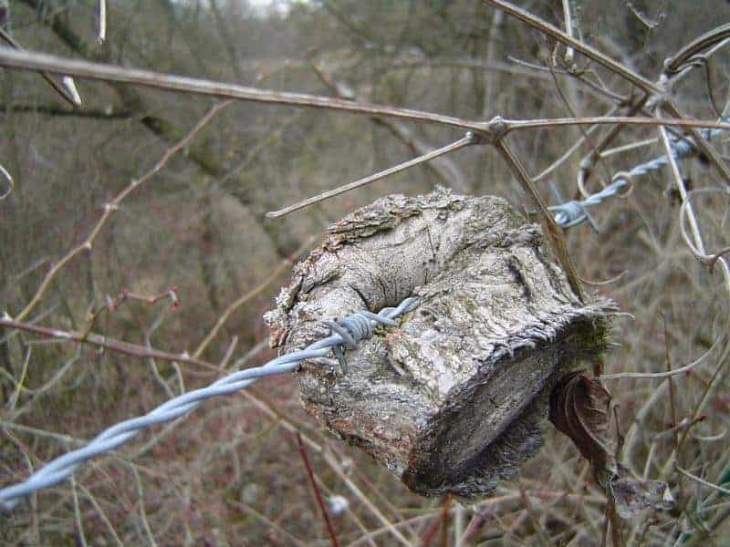 Stacheldraht 2 stacheldraht2 seifert